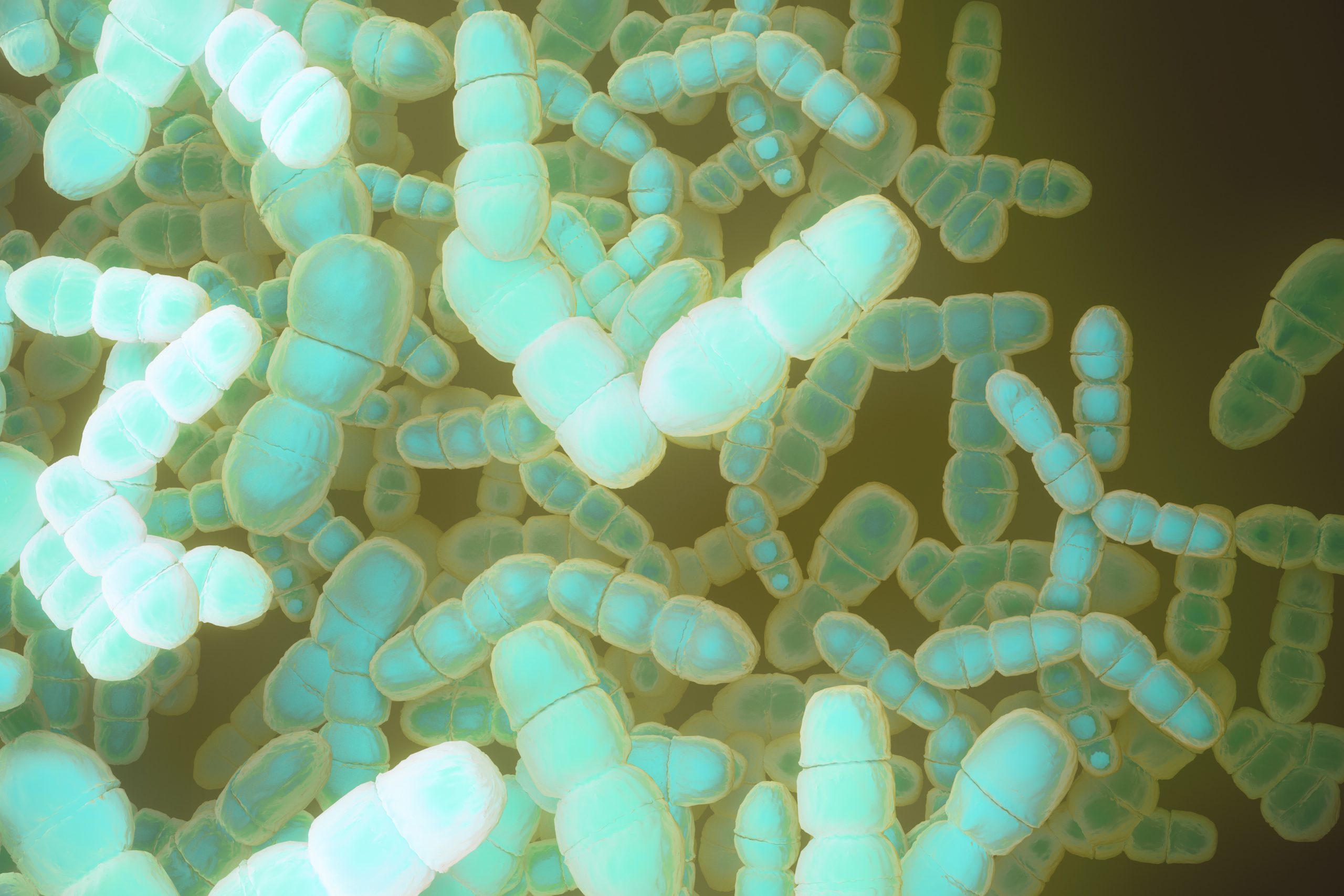 Infection Control