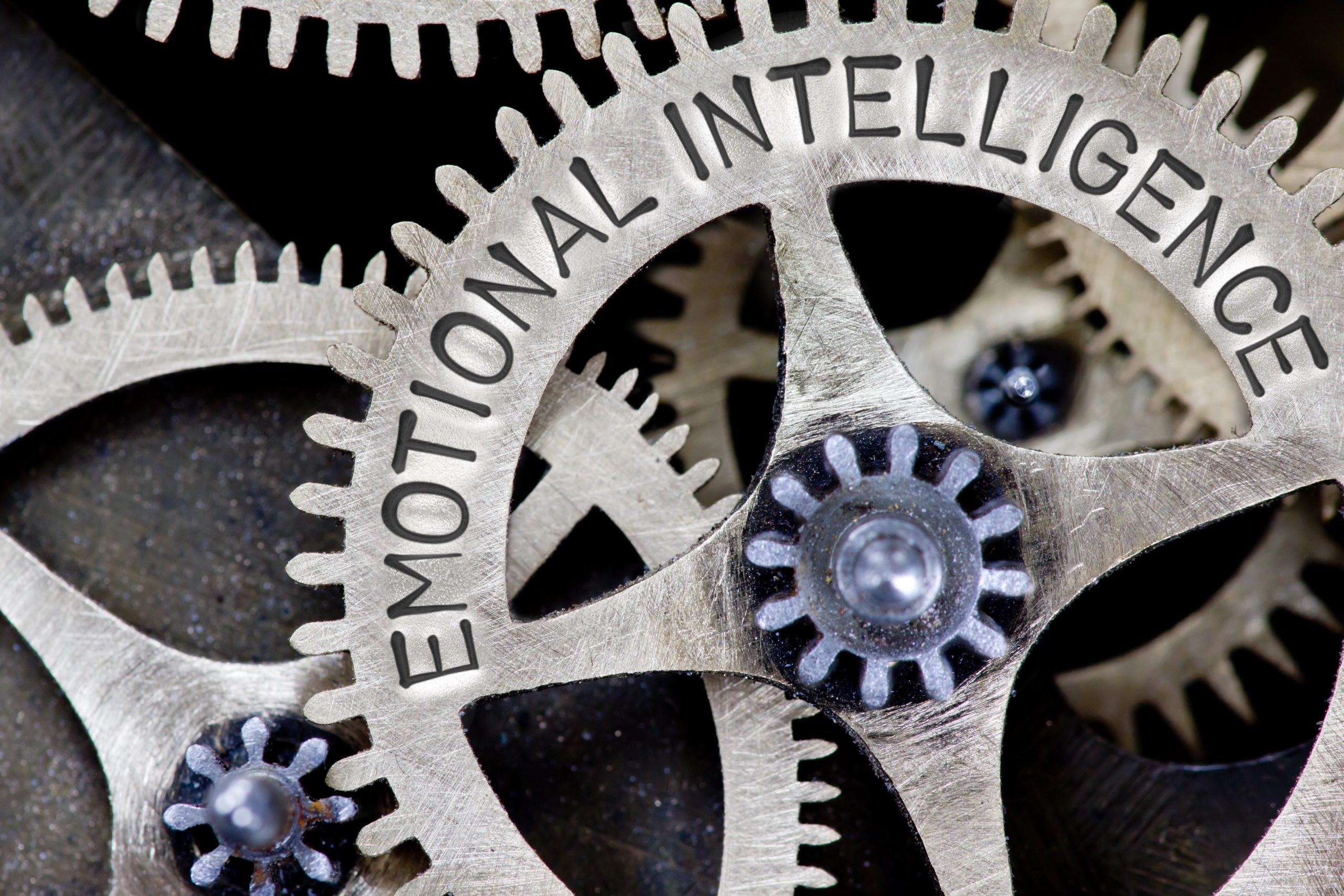 Introduction to Emotional Intelligence
